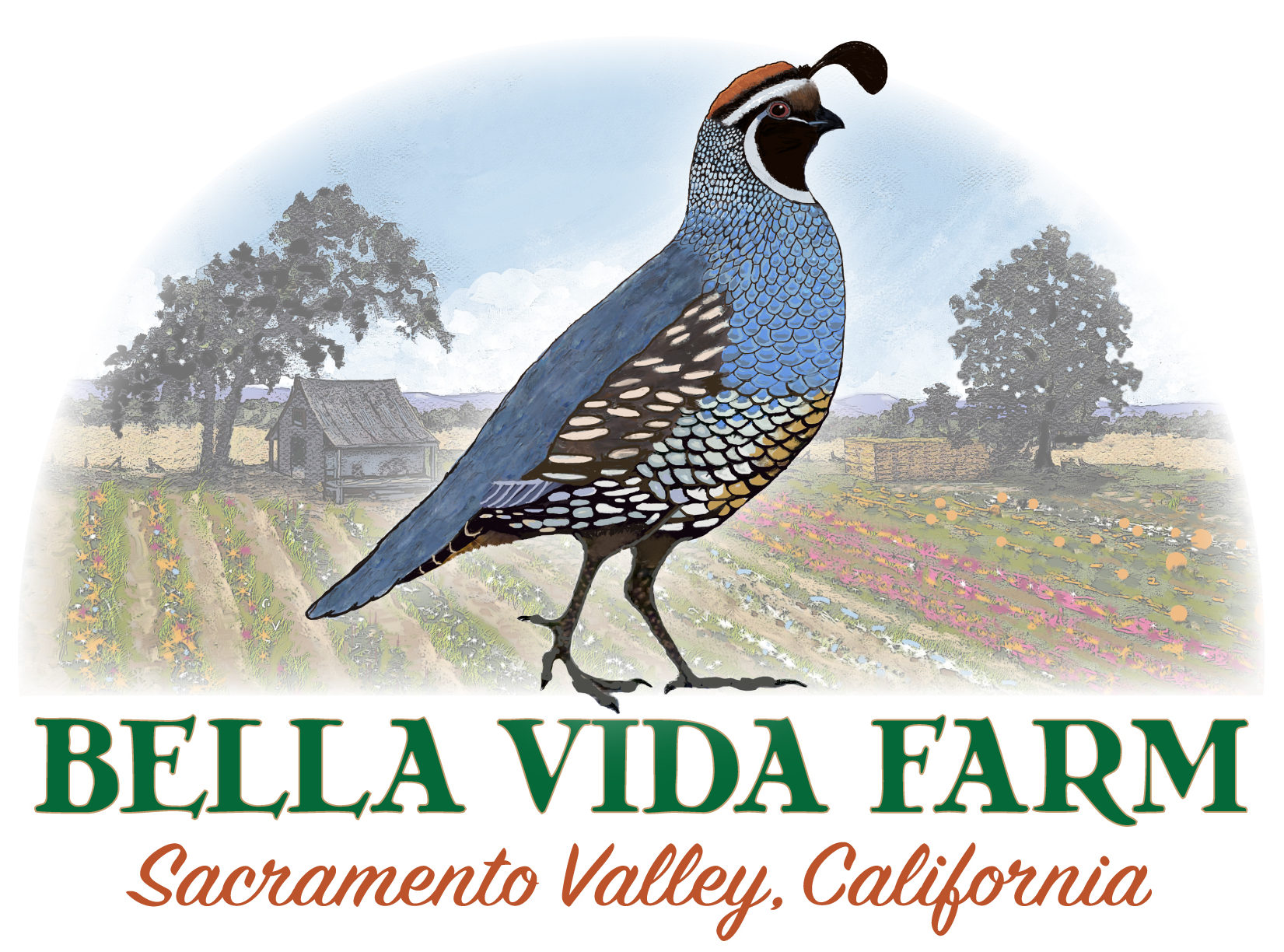 Bella Vida Farm